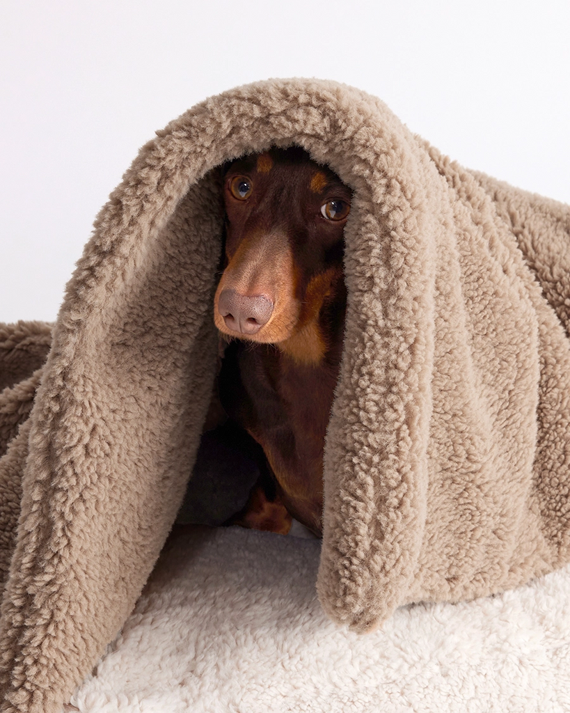 Faux Fur Pet Blanket - Warm Grey