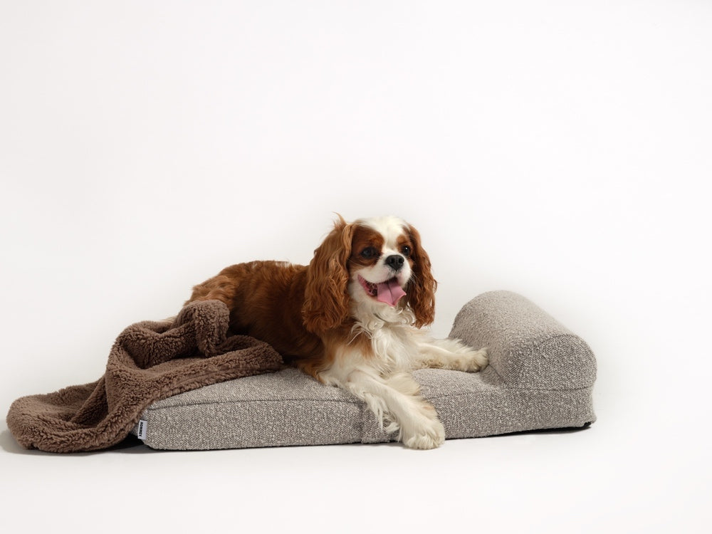 Boucle Pet Bed - Stone
