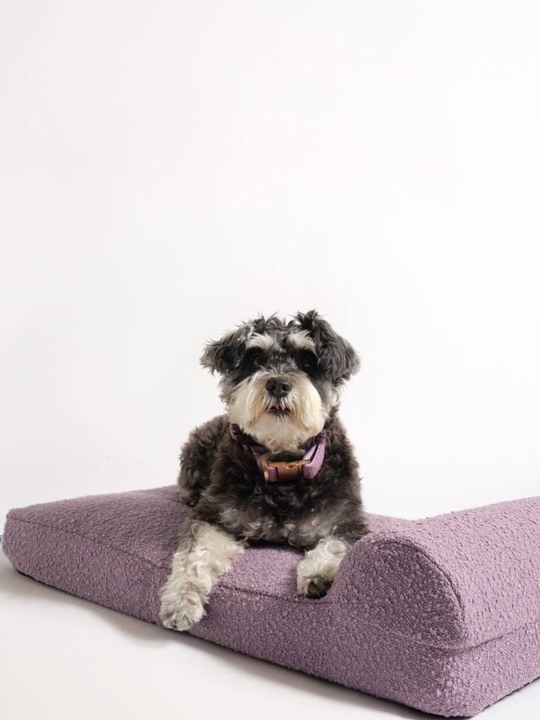 Boucle Pet Bed - Lilac