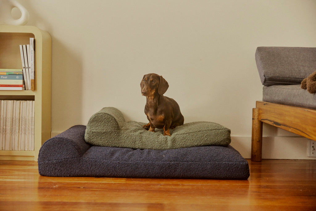 Boucle Pet Bed - Olive